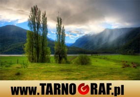 Fototapeta na wymiar - P.H.U. TARNOGRAF - Fabryka Reklamy Tarnobrzeg