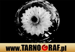 Fototapeta na wymiar - P.H.U. TARNOGRAF - Fabryka Reklamy Tarnobrzeg