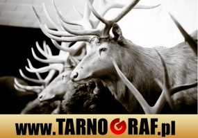 Fototapeta na wymiar - P.H.U. TARNOGRAF - Fabryka Reklamy Tarnobrzeg