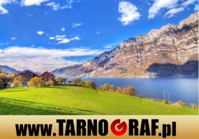 Fototapeta na wymiar - P.H.U. TARNOGRAF - Fabryka Reklamy Tarnobrzeg