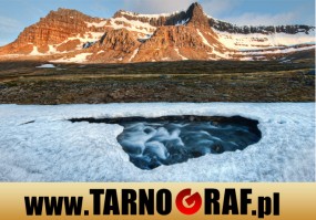 Fototapeta na wymiar - P.H.U. TARNOGRAF - Fabryka Reklamy Tarnobrzeg