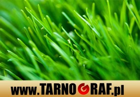 Fototapeta na wymiar - P.H.U. TARNOGRAF - Fabryka Reklamy Tarnobrzeg