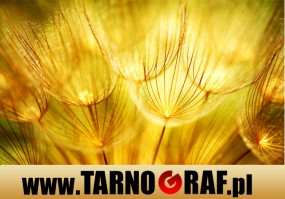 Fototapeta na wymiar - P.H.U. TARNOGRAF - Fabryka Reklamy Tarnobrzeg