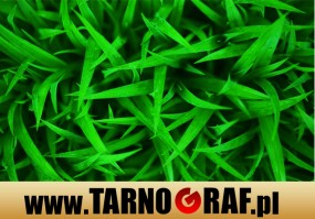 Fototapeta na wymiar - P.H.U. TARNOGRAF - Fabryka Reklamy Tarnobrzeg