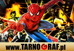 Fototapeta na wymiar - P.H.U. TARNOGRAF - Fabryka Reklamy Tarnobrzeg