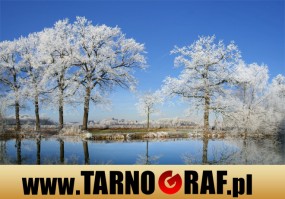 Fototapeta na wymiar - P.H.U. TARNOGRAF - Fabryka Reklamy Tarnobrzeg