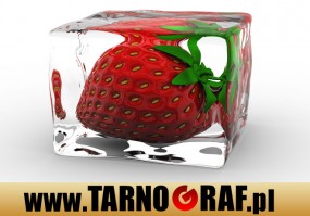 Fototapeta na wymiar - P.H.U. TARNOGRAF - Fabryka Reklamy Tarnobrzeg