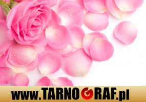 Fototapeta na wymiar - P.H.U. TARNOGRAF - Fabryka Reklamy Tarnobrzeg