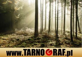 Fototapeta na wymiar - P.H.U. TARNOGRAF - Fabryka Reklamy Tarnobrzeg