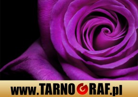 Fototapeta na wymiar - P.H.U. TARNOGRAF - Fabryka Reklamy Tarnobrzeg