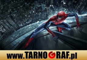 Fototapeta na wymiar - P.H.U. TARNOGRAF - Fabryka Reklamy Tarnobrzeg