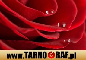 Fototapeta na wymiar - P.H.U. TARNOGRAF - Fabryka Reklamy Tarnobrzeg