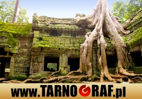 Fototapeta na wymiar - P.H.U. TARNOGRAF - Fabryka Reklamy Tarnobrzeg