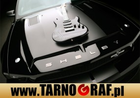 Fototapeta na wymiar - P.H.U. TARNOGRAF - Fabryka Reklamy Tarnobrzeg