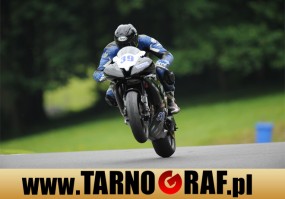 Fototapeta na wymiar - P.H.U. TARNOGRAF - Fabryka Reklamy Tarnobrzeg