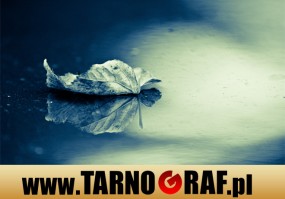 Fototapeta na wymiar - P.H.U. TARNOGRAF - Fabryka Reklamy Tarnobrzeg