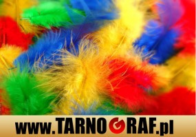 Fototapeta na wymiar - P.H.U. TARNOGRAF - Fabryka Reklamy Tarnobrzeg