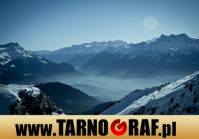 Fototapeta na wymiar - P.H.U. TARNOGRAF - Fabryka Reklamy Tarnobrzeg