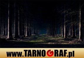 Fototapeta na wymiar - P.H.U. TARNOGRAF - Fabryka Reklamy Tarnobrzeg