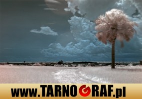 Fototapeta na wymiar - P.H.U. TARNOGRAF - Fabryka Reklamy Tarnobrzeg