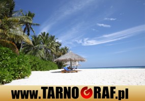 Fototapeta na wymiar - P.H.U. TARNOGRAF - Fabryka Reklamy Tarnobrzeg