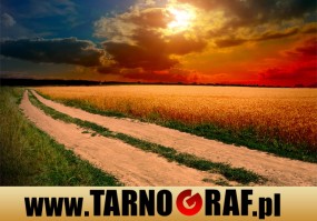 Fototapeta na wymiar - P.H.U. TARNOGRAF - Fabryka Reklamy Tarnobrzeg