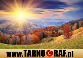 Fototapeta na wymiar - P.H.U. TARNOGRAF - Fabryka Reklamy Tarnobrzeg