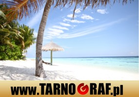 Fototapeta na wymiar - P.H.U. TARNOGRAF - Fabryka Reklamy Tarnobrzeg