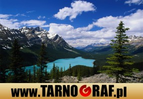 Fototapeta na wymiar - P.H.U. TARNOGRAF - Fabryka Reklamy Tarnobrzeg