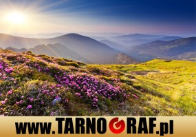 Fototapeta na wymiar - P.H.U. TARNOGRAF - Fabryka Reklamy Tarnobrzeg