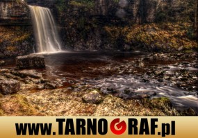 Fototapeta na wymiar - P.H.U. TARNOGRAF - Fabryka Reklamy Tarnobrzeg