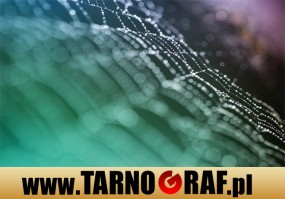 Fototapeta na wymiar - P.H.U. TARNOGRAF - Fabryka Reklamy Tarnobrzeg