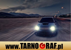 Fototapeta na wymiar - P.H.U. TARNOGRAF - Fabryka Reklamy Tarnobrzeg