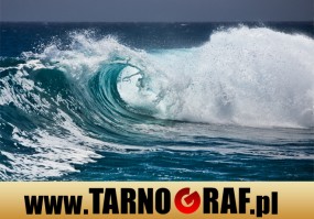 Fototapeta na wymiar - P.H.U. TARNOGRAF - Fabryka Reklamy Tarnobrzeg