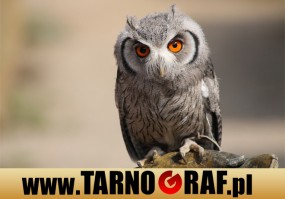 Fototapeta na wymiar - P.H.U. TARNOGRAF - Fabryka Reklamy Tarnobrzeg