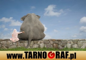 Fototapeta na wymiar - P.H.U. TARNOGRAF - Fabryka Reklamy Tarnobrzeg