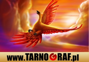 Fototapeta na wymiar - P.H.U. TARNOGRAF - Fabryka Reklamy Tarnobrzeg