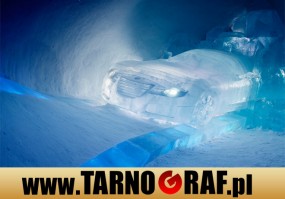 Fototapeta na wymiar - P.H.U. TARNOGRAF - Fabryka Reklamy Tarnobrzeg