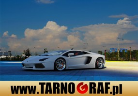 Fototapeta na wymiar - P.H.U. TARNOGRAF - Fabryka Reklamy Tarnobrzeg