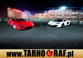 Fototapeta na wymiar - P.H.U. TARNOGRAF - Fabryka Reklamy Tarnobrzeg