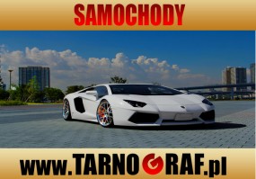 Fototapeta na wymiar - P.H.U. TARNOGRAF - Fabryka Reklamy Tarnobrzeg