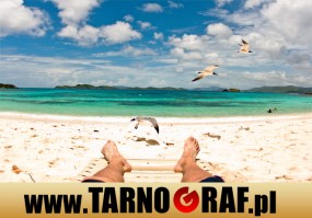 Fototapeta na wymiar - P.H.U. TARNOGRAF - Fabryka Reklamy Tarnobrzeg