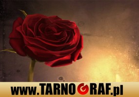 Fototapeta na wymiar - P.H.U. TARNOGRAF - Fabryka Reklamy Tarnobrzeg