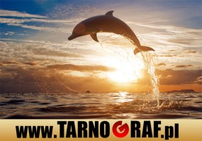 Fototapeta na wymiar - P.H.U. TARNOGRAF - Fabryka Reklamy Tarnobrzeg