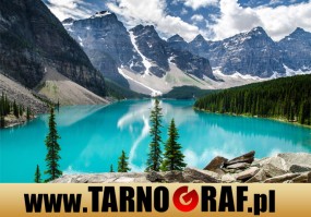 Fototapeta na wymiar - P.H.U. TARNOGRAF - Fabryka Reklamy Tarnobrzeg