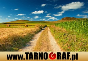 Fototapeta na wymiar - P.H.U. TARNOGRAF - Fabryka Reklamy Tarnobrzeg