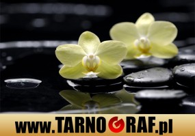 Fototapeta na wymiar - P.H.U. TARNOGRAF - Fabryka Reklamy Tarnobrzeg