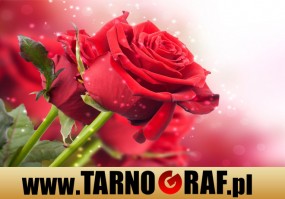 Fototapeta na wymiar - P.H.U. TARNOGRAF - Fabryka Reklamy Tarnobrzeg