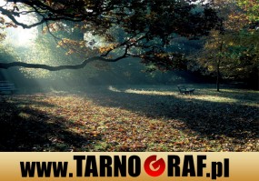 Fototapeta na wymiar - P.H.U. TARNOGRAF - Fabryka Reklamy Tarnobrzeg