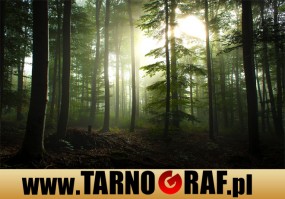 Fototapeta na wymiar - P.H.U. TARNOGRAF - Fabryka Reklamy Tarnobrzeg